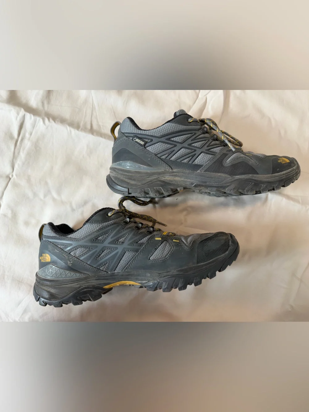The North Face Men’s Hedgehog Fastpack GTX hiking shoes